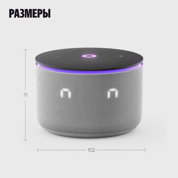 Умная колонка Яндекс Станция Мини 3 Про с Алисой, Zigbee, 18 Вт, серая (YNDX-00059GRY)