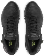 100000379 Reebok Astroride Trail Gtx 2.0