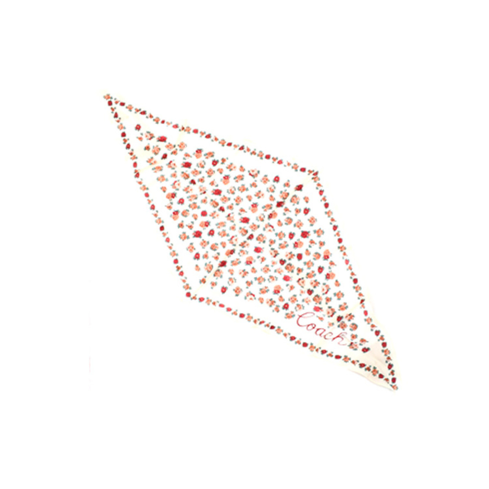 Шарф Coach, 89796-CHALK