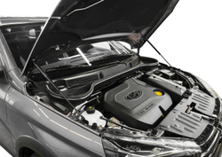 Газовые упоры капота АвтоУпор для Lada Vesta 2015-09.2017, 2 шт., ULAVES011