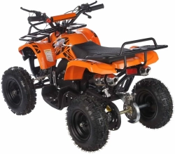 Квадроцикл MOTAX ATV Mini Grizlik X-16 (мех.)