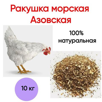 Ракушка морская Азовская 10кг