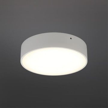 Светильник настенно-потолочный APL.0113.09.18