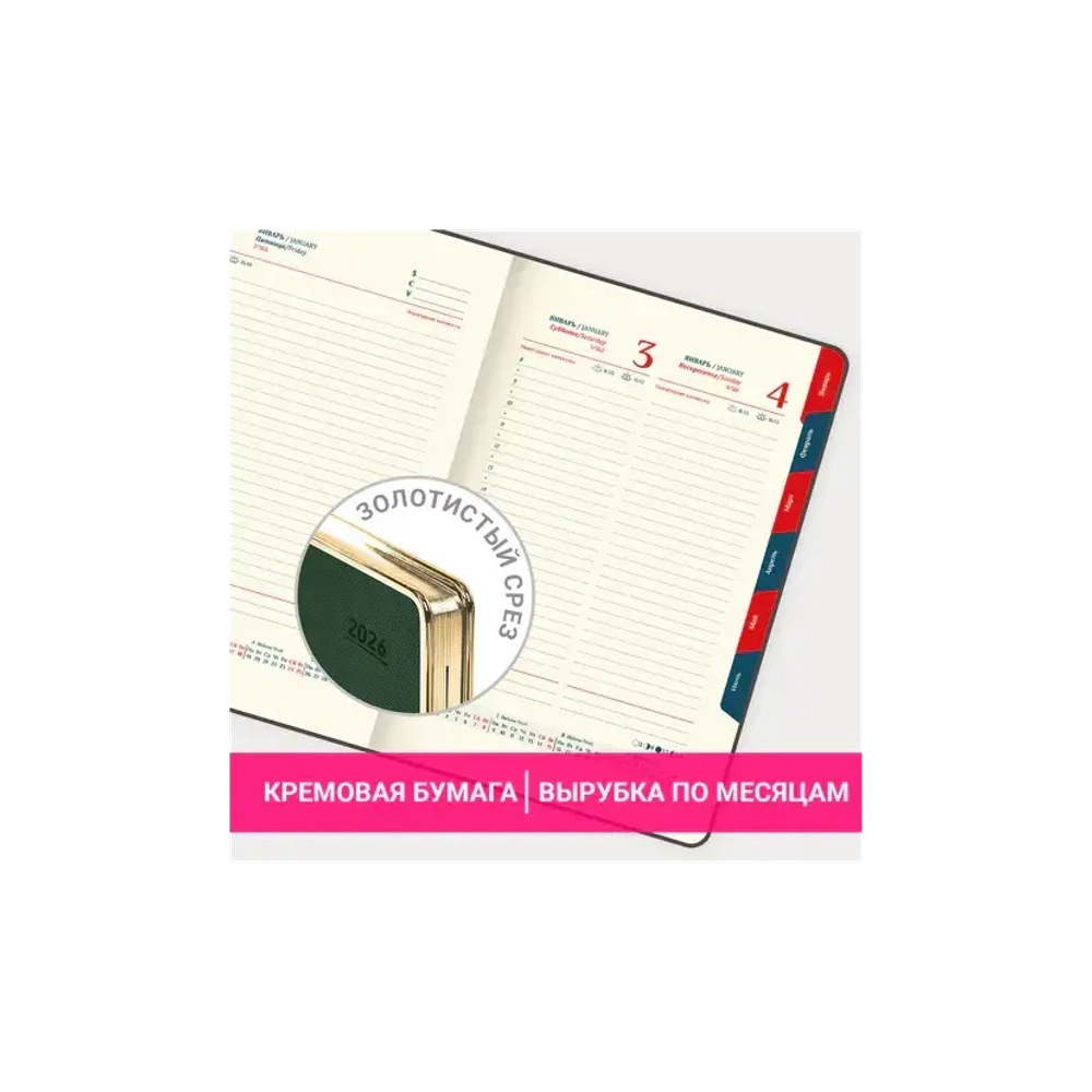 Ежедневник датированный 2026 А5 148х218 мм, GALANT "Infinity Gold", под кожу, темно-зеленый, 117504