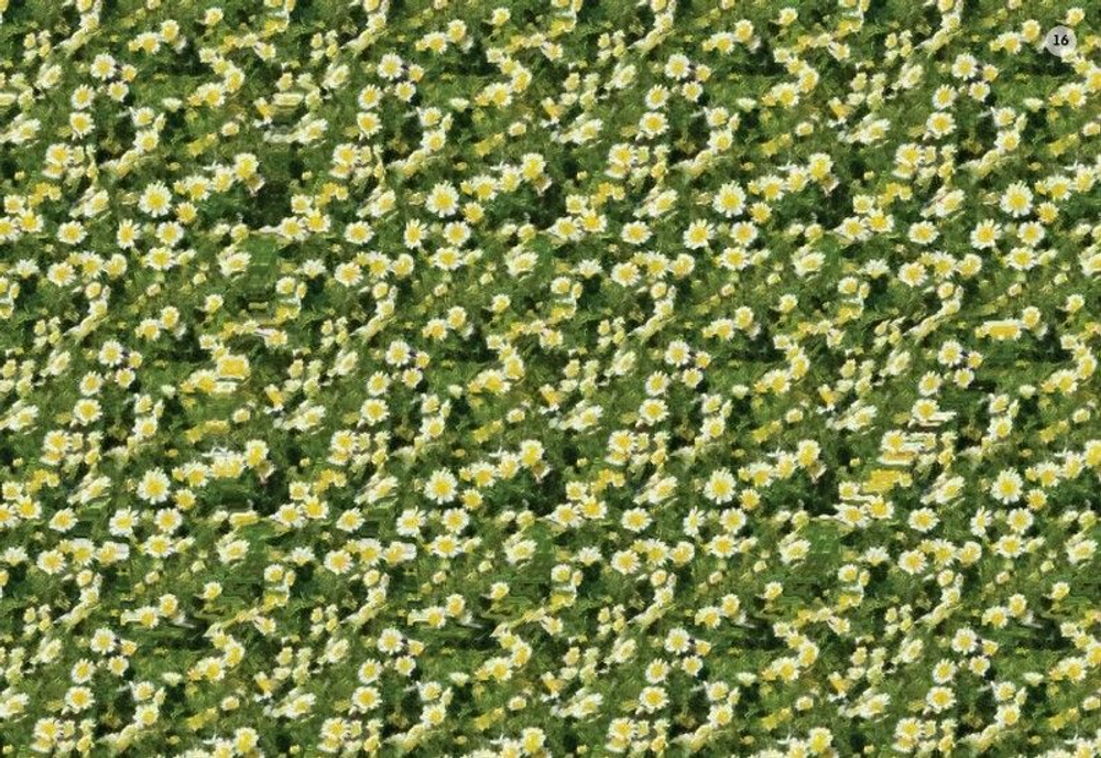 Стереокартинки для всей семьи