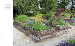 The Elegant and Edible Garden