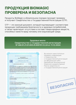 Здоровье мозга