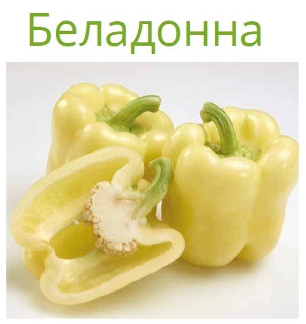 Беладонна F1 семена перца сладкого (Seminis / Семинис)