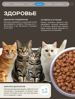 Корм сухой для стерилизованных кошек всех пород, с лососем, 5 кг, QUATTRO