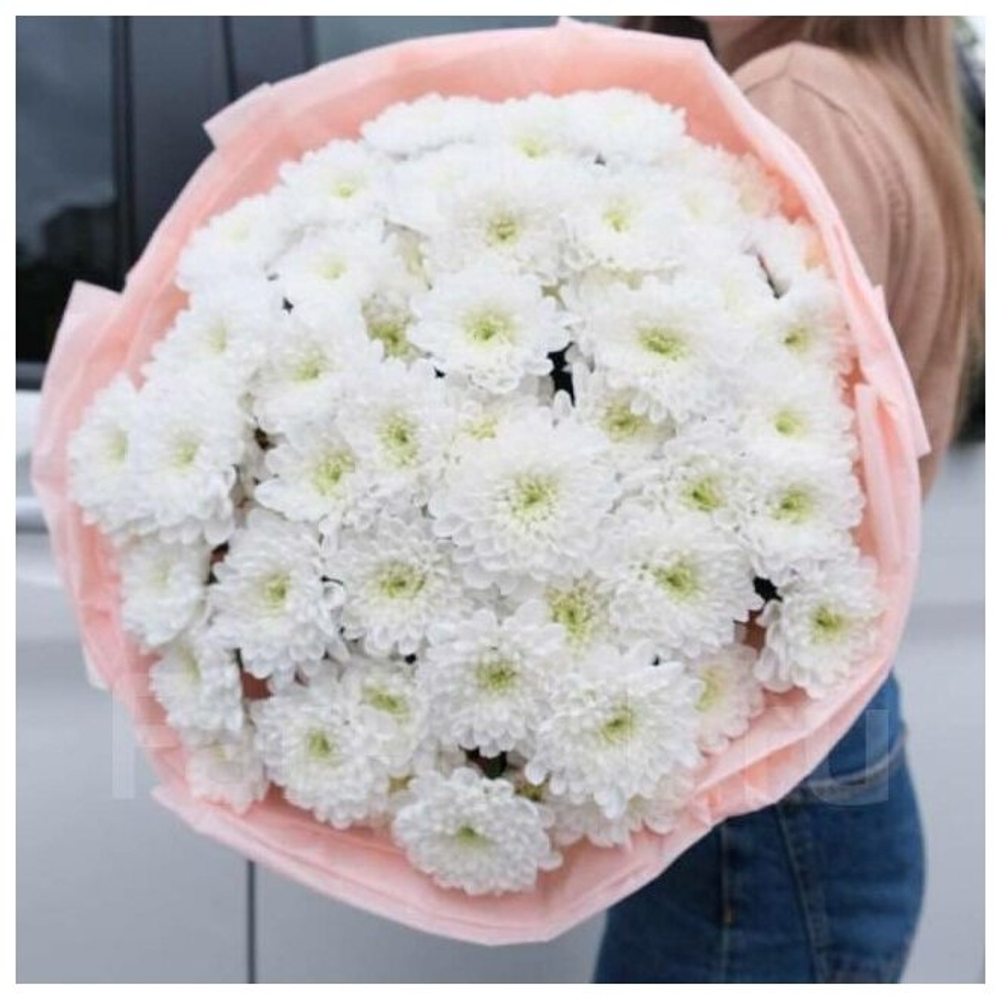 Хризантема кустовая