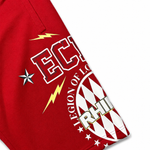 Шорты Ecko Unltd