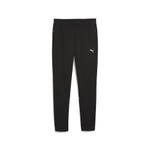 Мужские брюки PUMA EVOSTRIPE Pants
