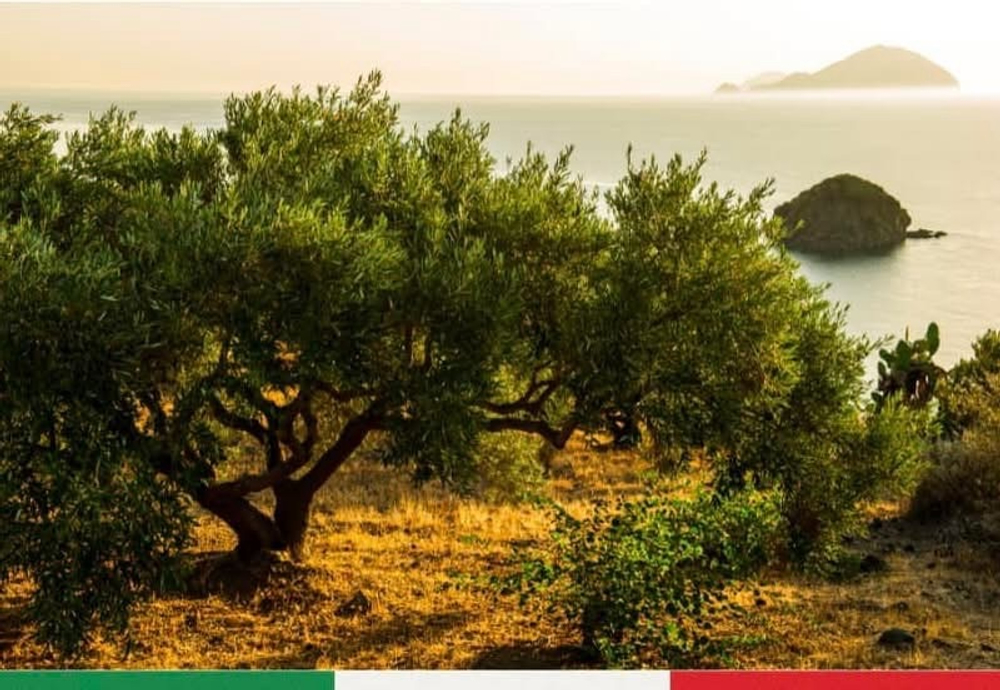 Оливковое масло BARBERA SICULO SICILIA IGP Extra Virgin 750 мл Италия