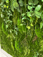 Вертикальное озеленение искусственными растениями и мхом