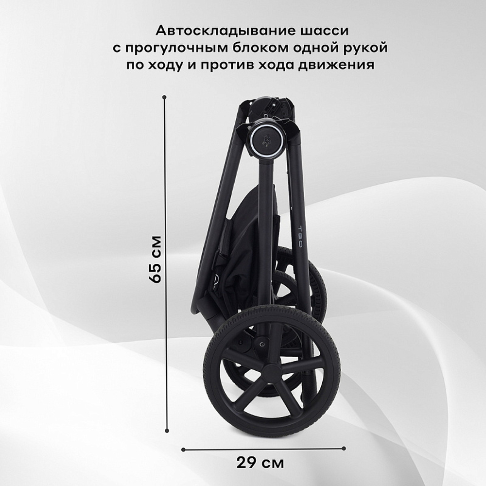 Детская коляска Rant Teo 2 в 1 Black