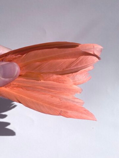 Перья утки коралл 2 сорт 15 шт.