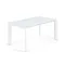 ATTA Стол 160 (220) x90 белое стекло