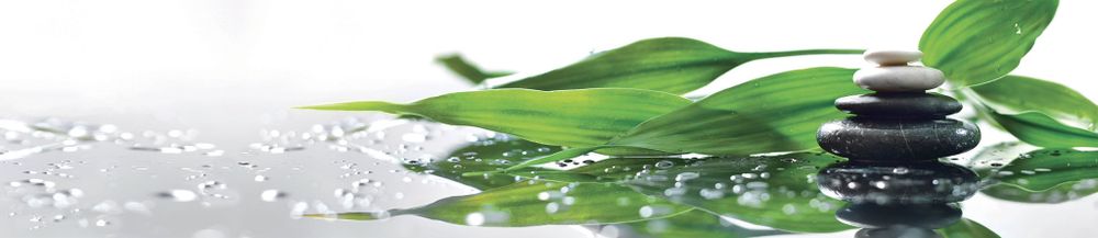 Стеновая панель 2800*610*6 (SP-066 глянец)