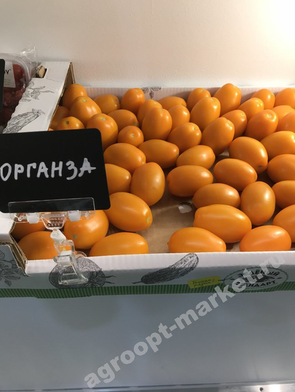 Органза F1 семена томата индетерминантного (De Ruiter Seeds / Де Ройтер Сидс) – фото 4