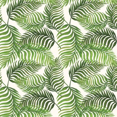 Тропические листья на белом фоне