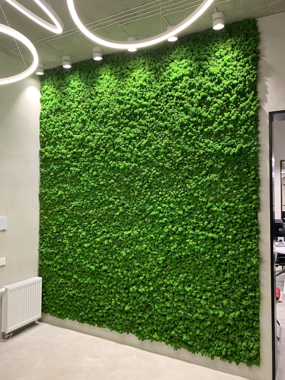 Мох ягель зелёная трава GR 500 гр.