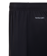 Шорты вратарские JÖGEL NATIONAL PerFormDRY GK Shorts, черный