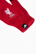 Перчатки adidas Liverpool FC 25/26 - красный