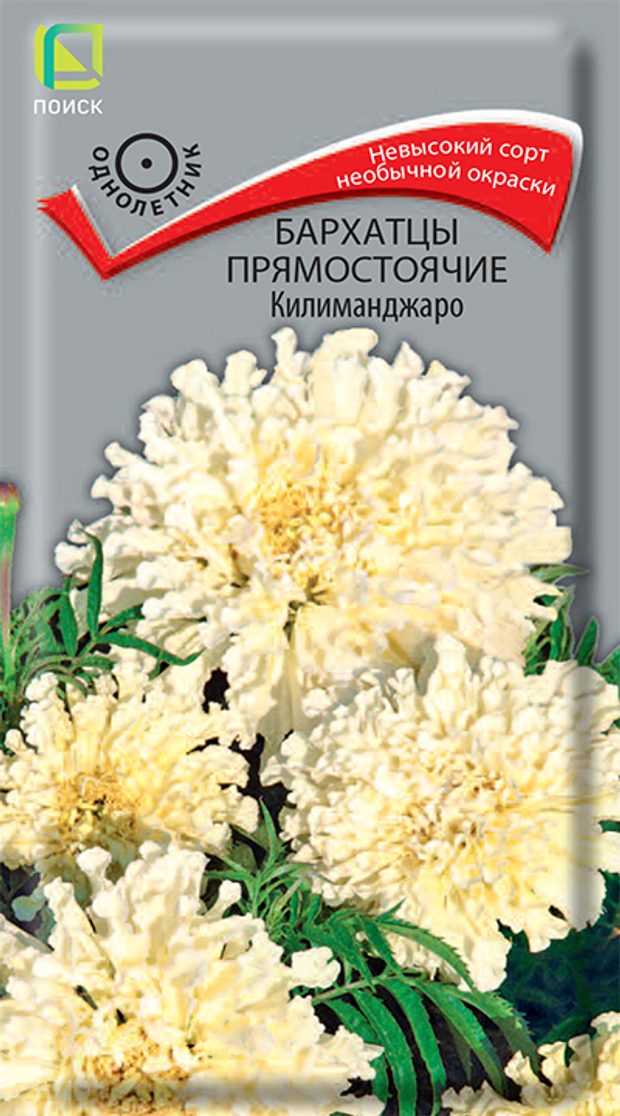 Бархатцы прямостоячие Килиманджаро