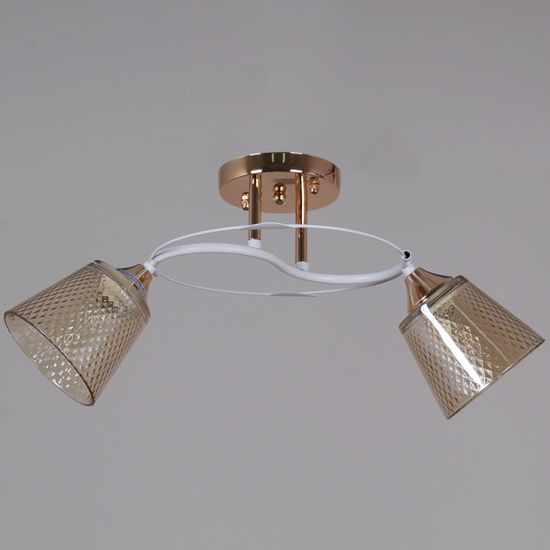 06003-0.3-02 FG+WT светильник потолочный