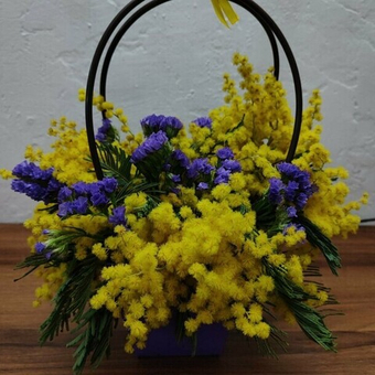 Сумочка Мимозы со статицей