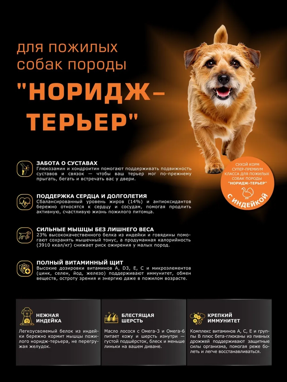 Корм для Норидж-терьер старше 7 лет, с индейкой, 12 кг