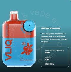 Электронная система доставки никотина VLIQ Q SPIN 6500 затяжек со вкусом «Холодная черника» (M)