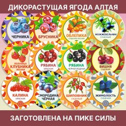 Шиповник Алтайский молотый.