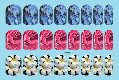 Термопленка ALLURE Арт.tmp35 Набор 24 шт