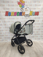Коляска модульная Rant Teo Sage