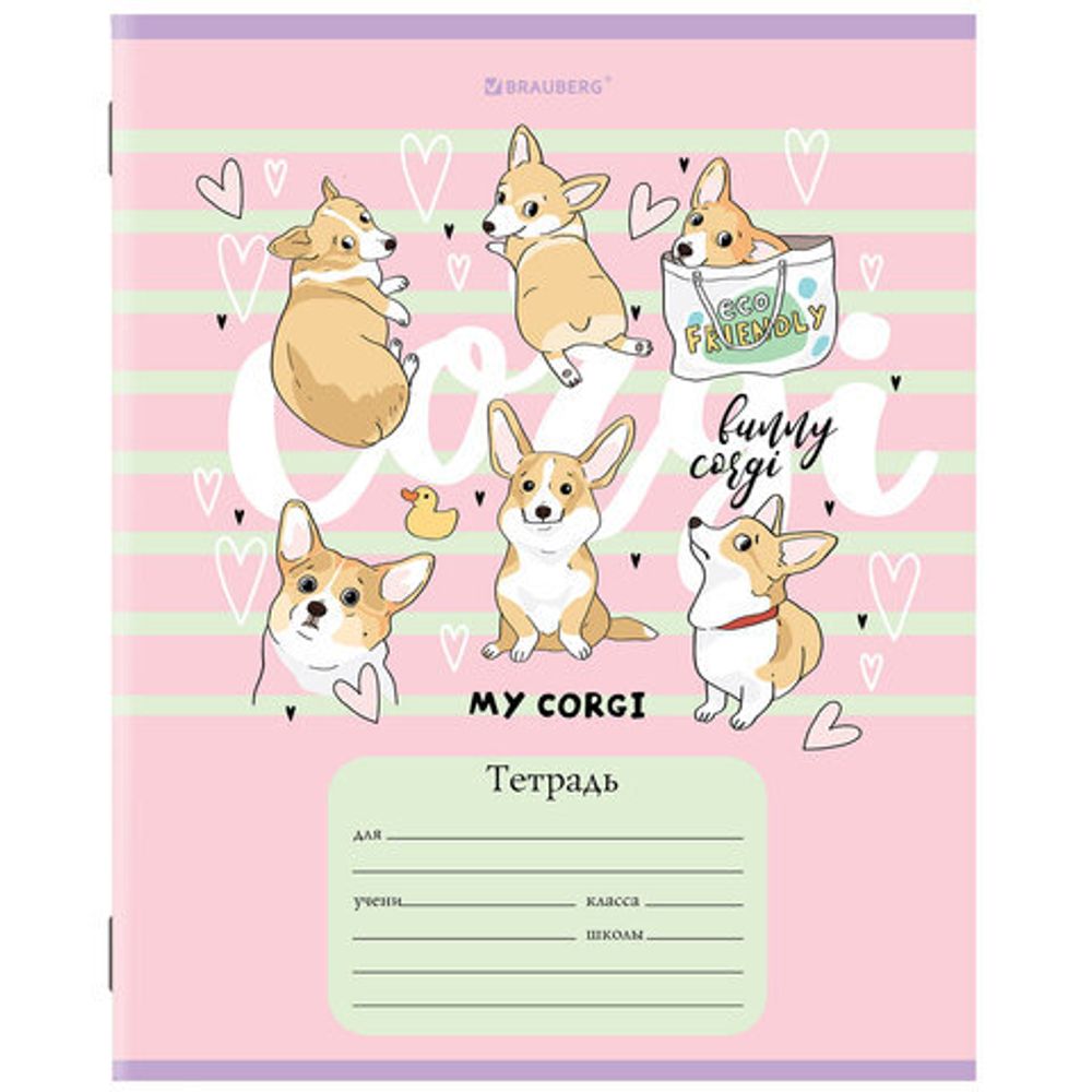 Тетрадь 12 л. BRAUBERG, клетка, обложка картон, "КОРГИ", 106460, 5шт