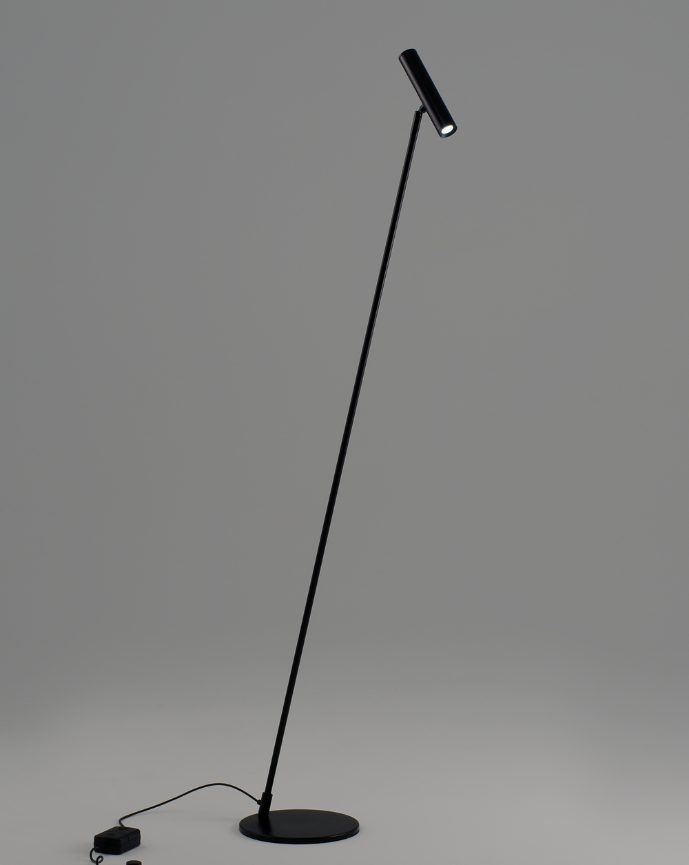 Торшер светодиодный Moderli V11082-FL Harmo