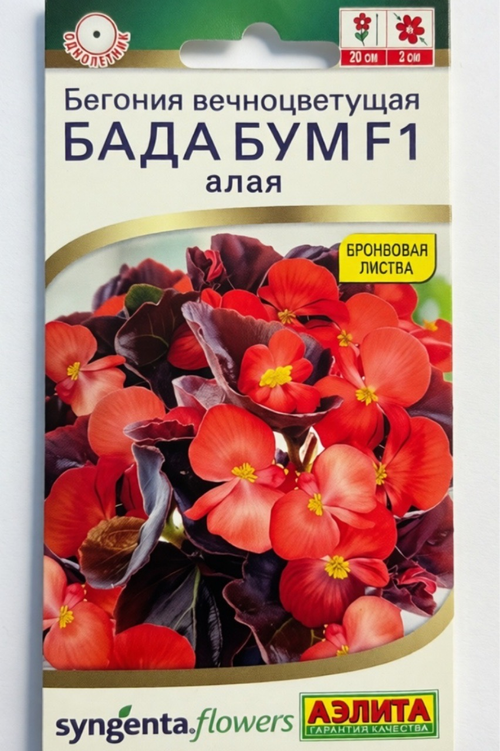 Бегония Бада бум F1 алая СМЦ-775