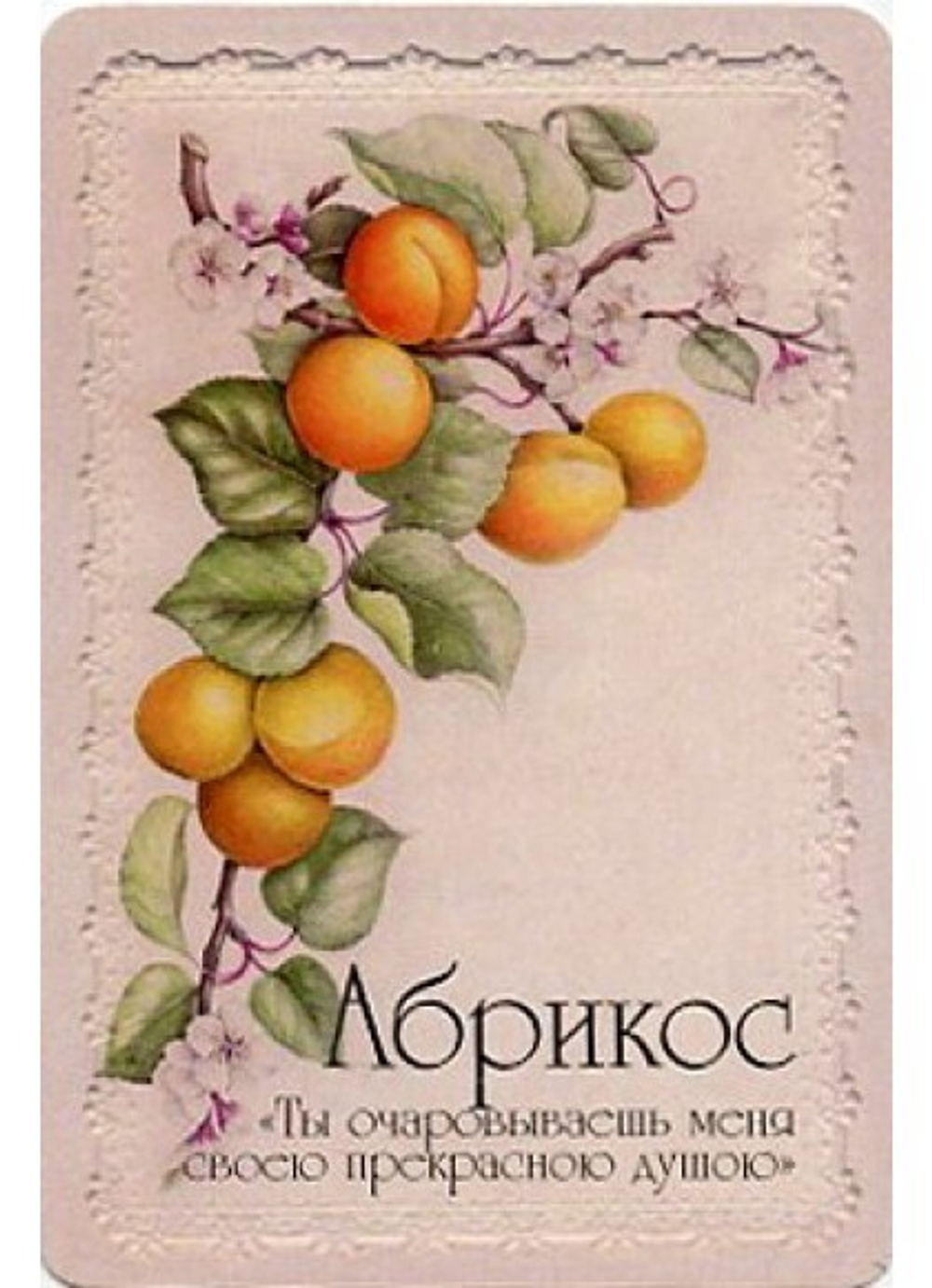 Оракул Селам или Язык Цветов