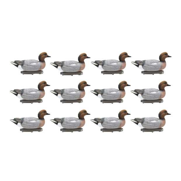 Свиязь "LAST PASS LIVE EURASIAN WIGEON" (12 штук) FA-233510