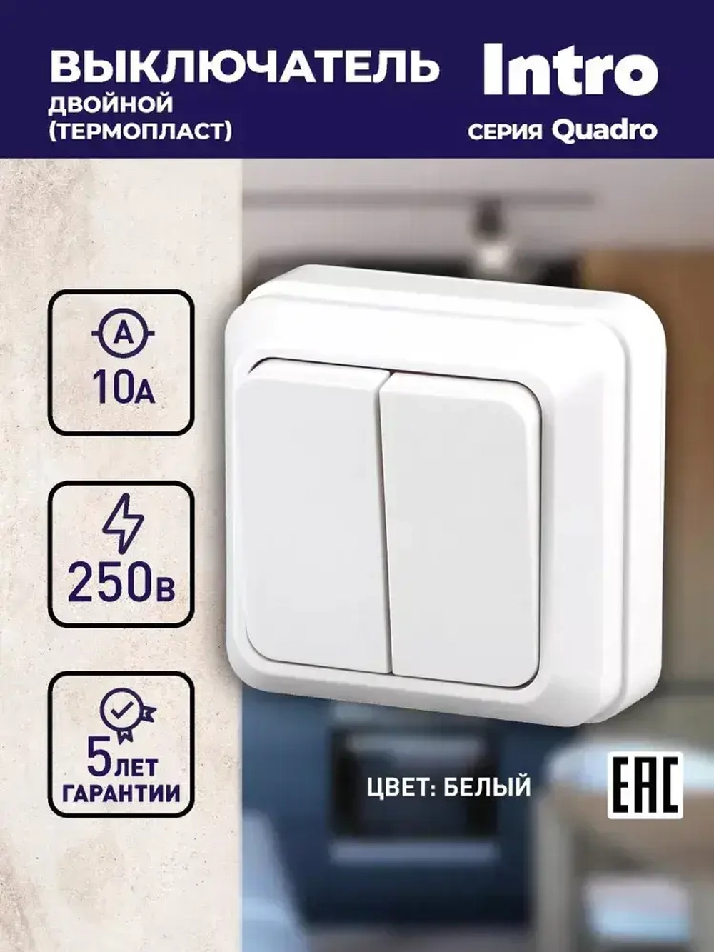 Выключатель Intro Quadro 2-104-01 двухклавишный 10А-250В IP20 ОУ белый