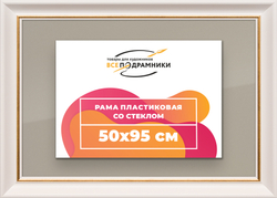 Рамка 50x95 для постера и фотографий