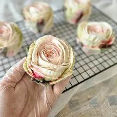 Зефир «Роза Мондиаль» Зефир «Роза Мондиаль»