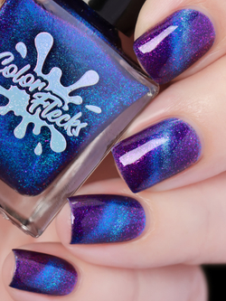 Blue Poison Arrow Frog