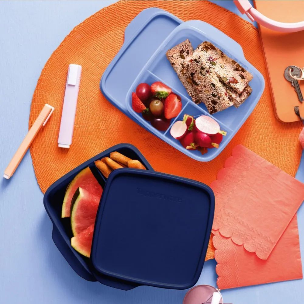 Контейнер с разделителями "Школьник" сиреневый и синий (2шт.) Tupperware
