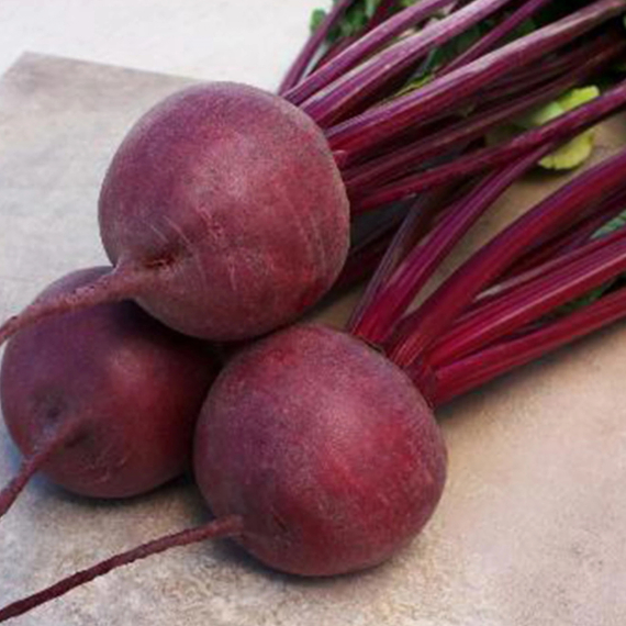 Кестрел F1 семена свеклы (Sakata / Саката) – фото 5