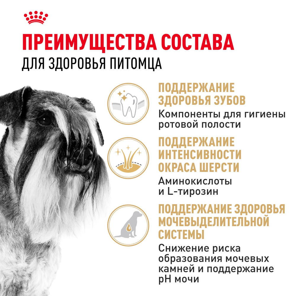 Royal Canin Miniature Schnauzer Adult Миниатюрный Шнауцер Эдалт Корм сухой для взрослых собак породы Миниатюрный Шнауцер от 10 месяцев 3кг