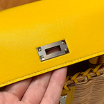 Hermes Picnic Kelly 20