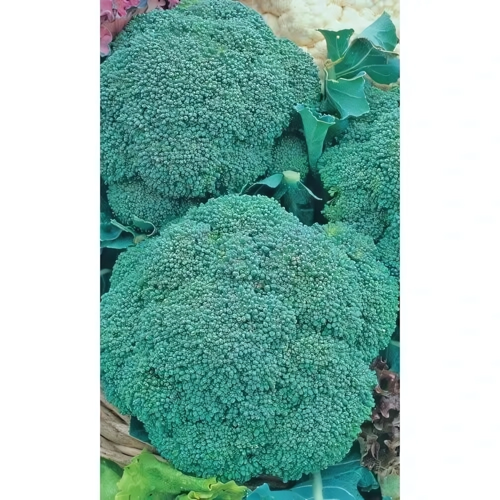 Семена Капуста брокколи Изумрудное волшебство (УД) 0,25гр Е/П