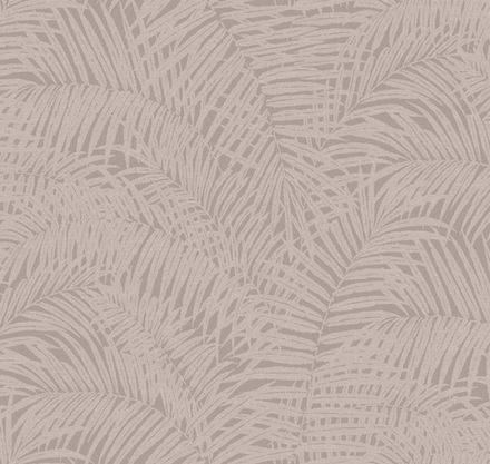 Сканди Дзен Японская пальма